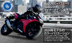 SUZUKI「GSX250R」