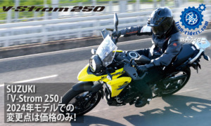 SUZUKI　V-Strom-250