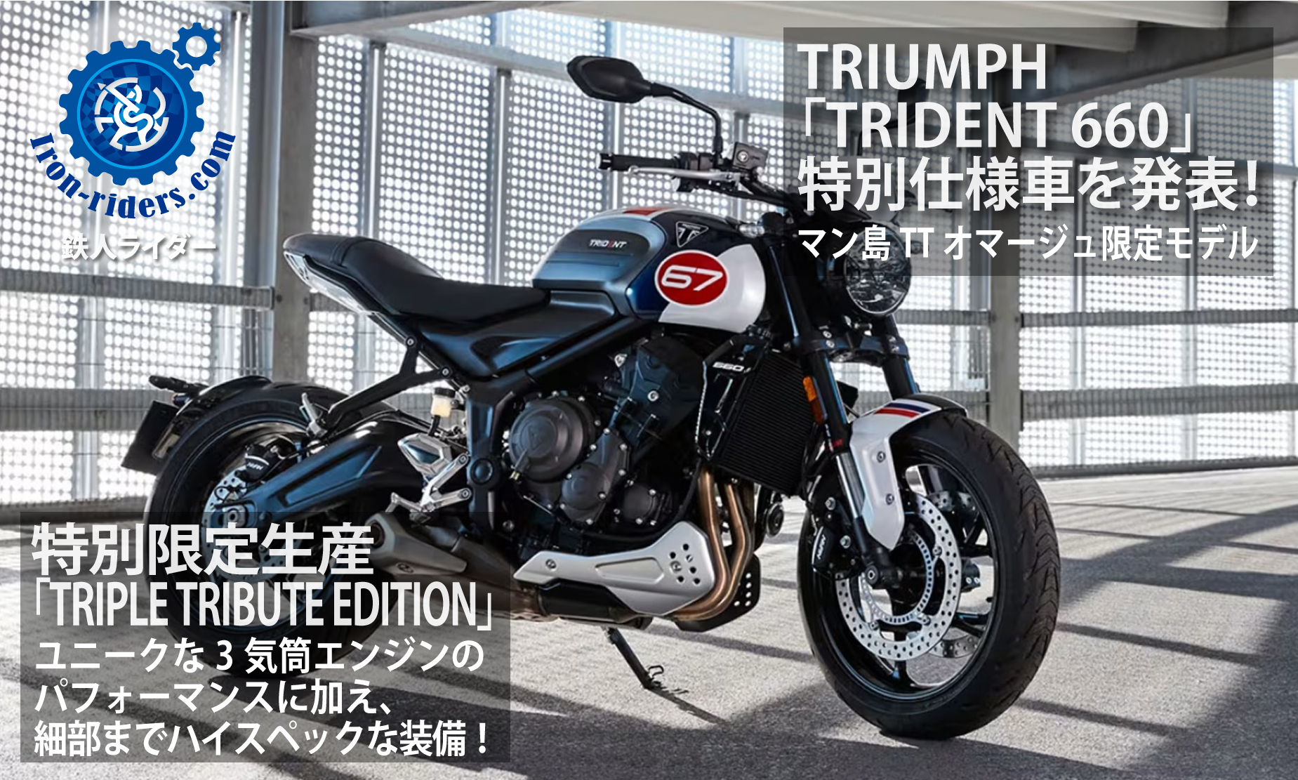 TRIDENT 660 TRIPLE TRIBUTE EDITION