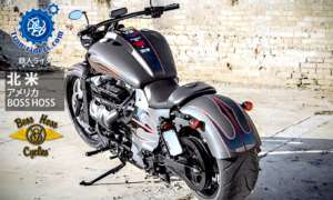 北 米／アメリカ ボスホス