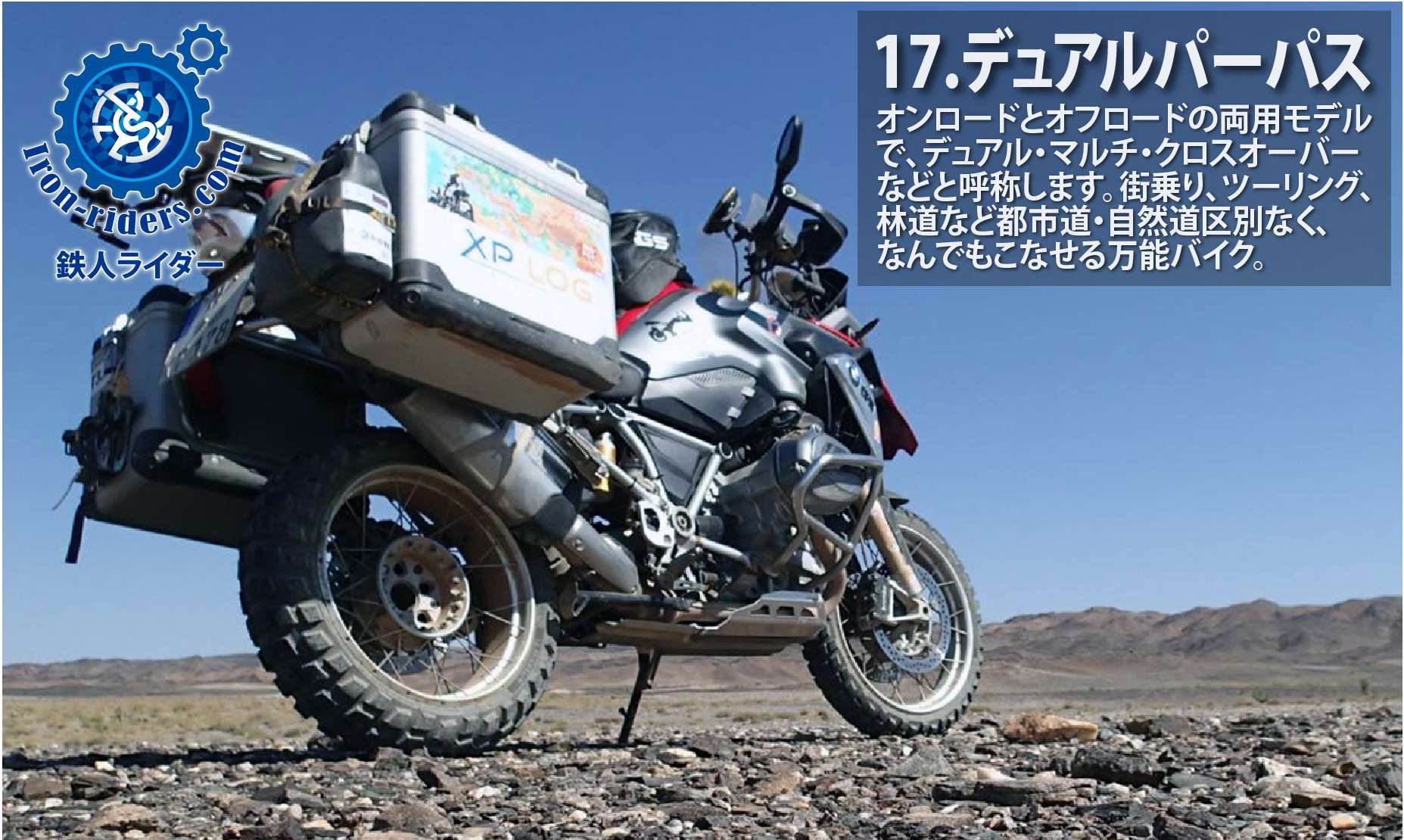 デュアルパーパス系