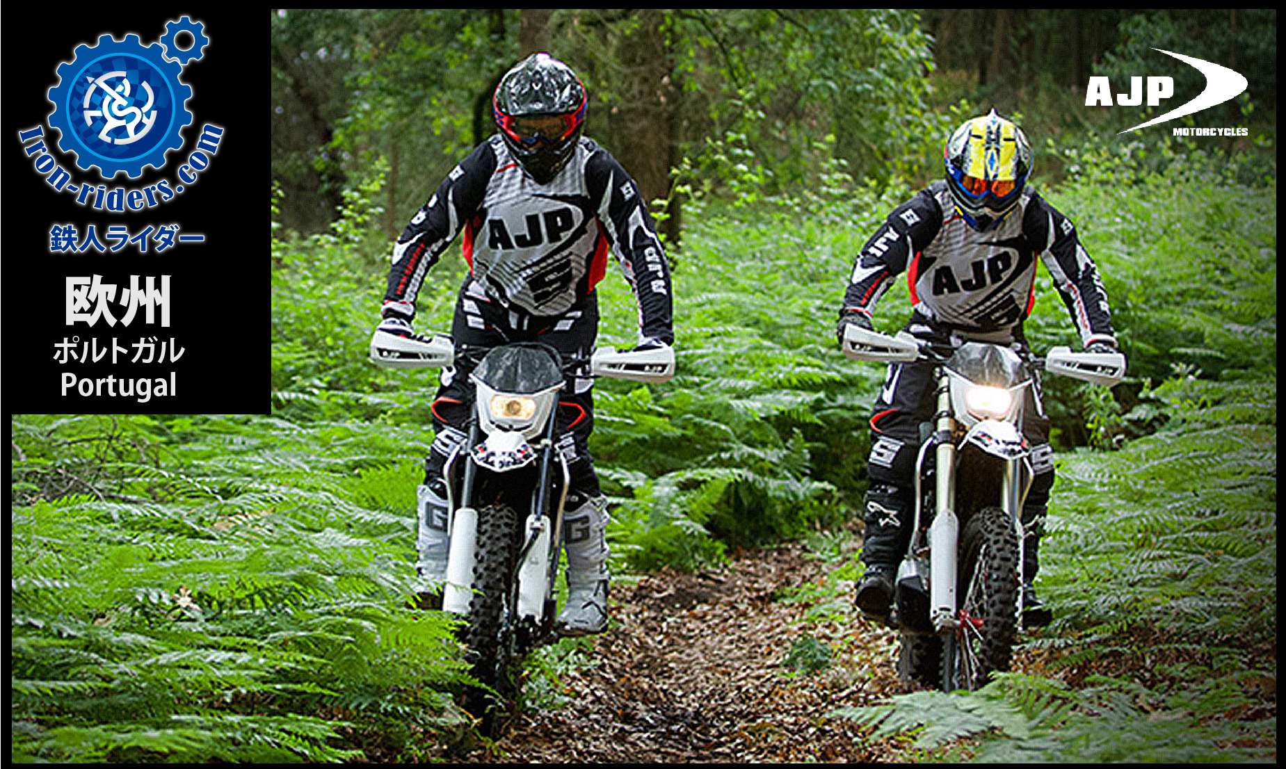 欧州 ポルトガル