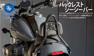 バックレスト・シーシーバー